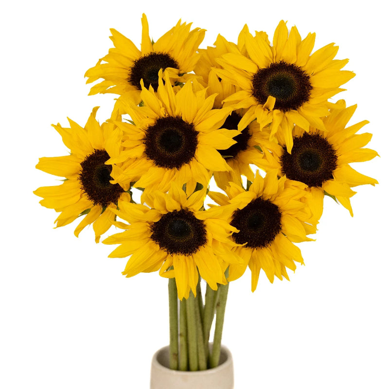 Small Sunflowers Vase - Image