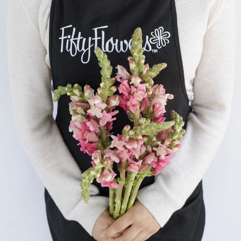 Snapdragon Watermelon Pink Apron - Image