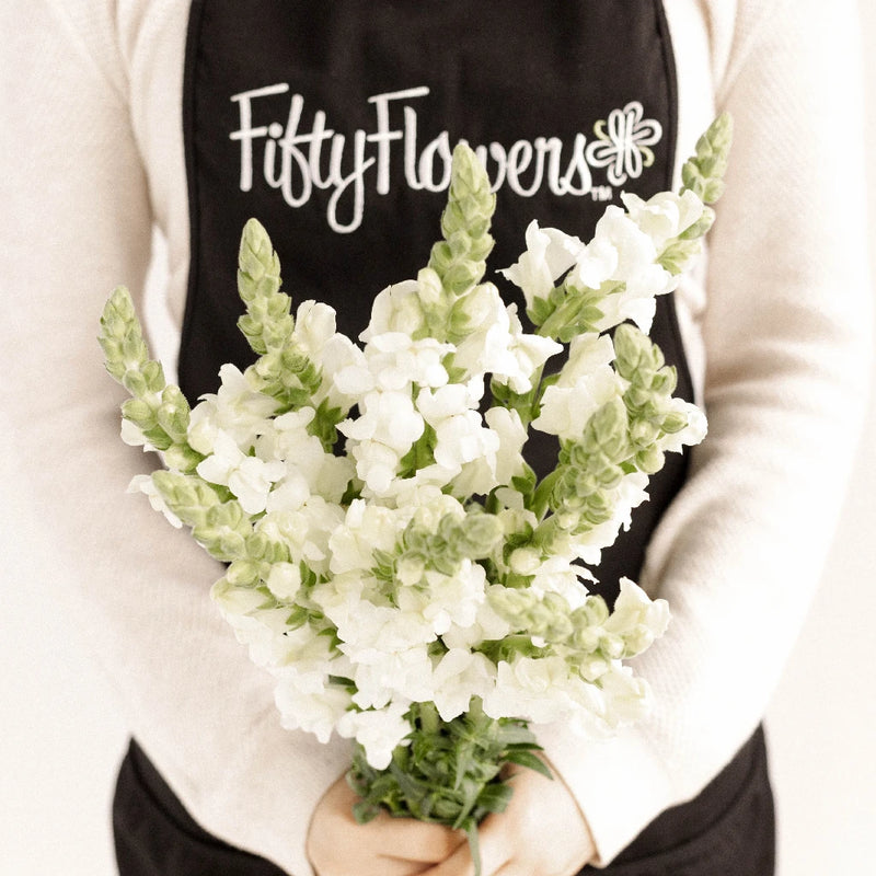 Snapdragon White Flower Apron - Image