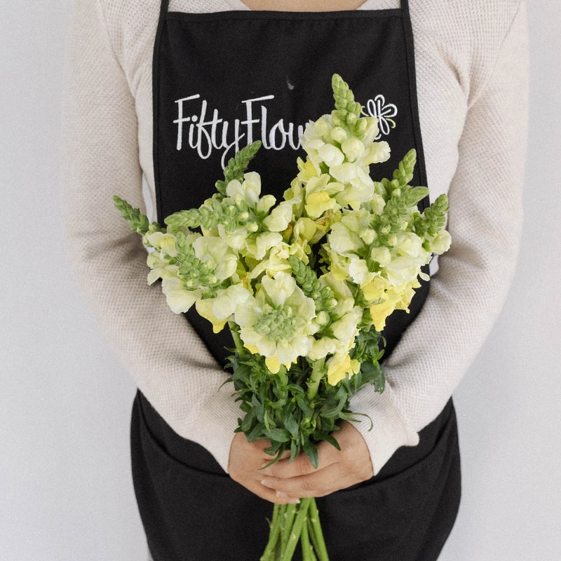 Snapdragon Yellow Flower Apron - Image