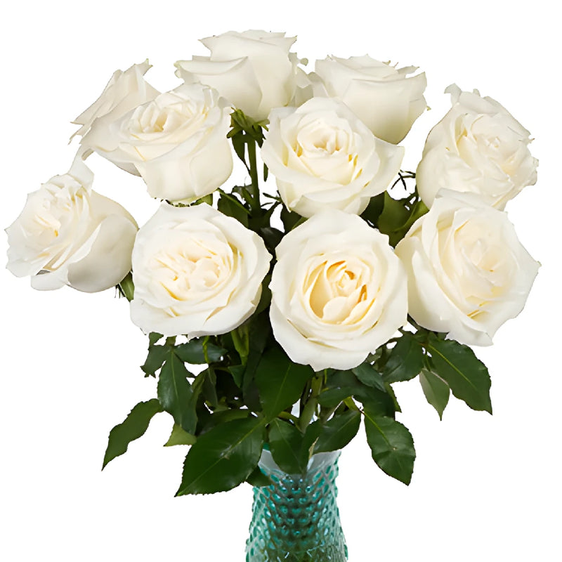 Group One Sothebys International Realty Roses