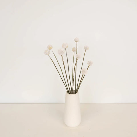 Snowball White Craspedia Billy Balls Vase - Image