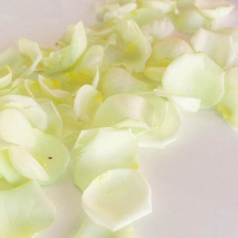 Soft Green Fresh Rose Petals Apron - Image