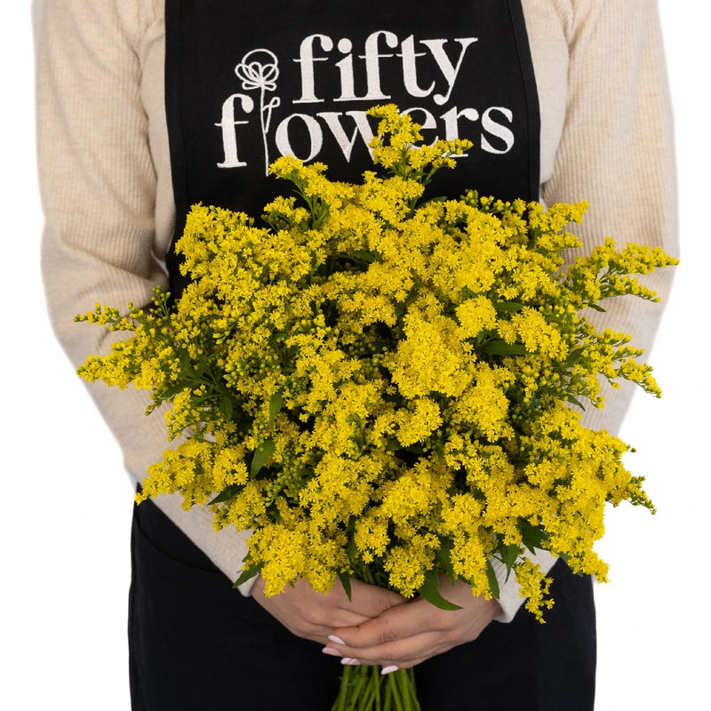 Solidago Flowers Yellow Apron - Image