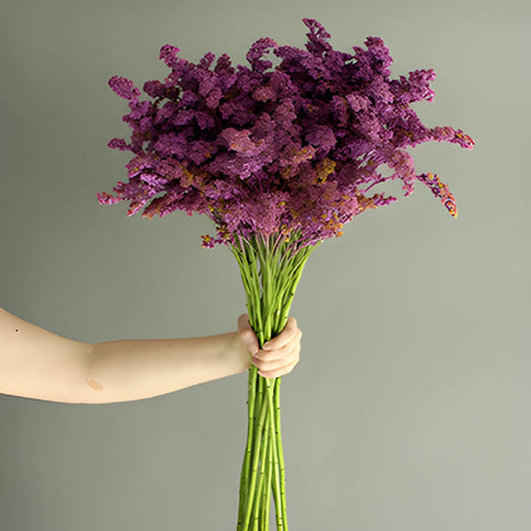 Lilac Purple Tinted Wild Solidago Flower