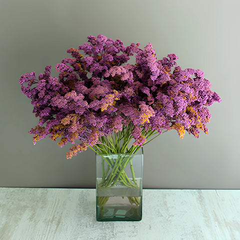 Lilac Purple Tinted Wild Solidago Flower