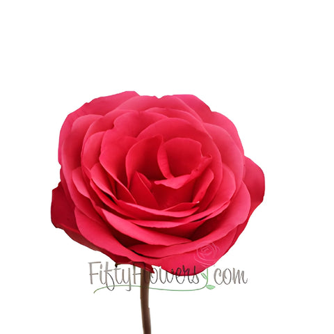 Solitaire Hot Raspberry Pink Rose