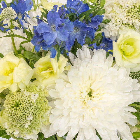 Something Blue Diy Flower Kit Close Up - Image