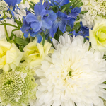 Something Blue Flower Collection