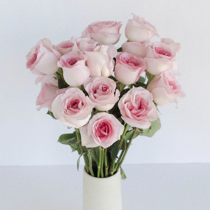 Sophie Light Pink Rose Vase - Image