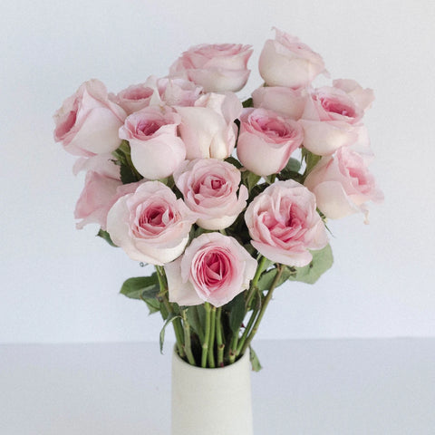 Sophie Light Pink Rose Vase - Image