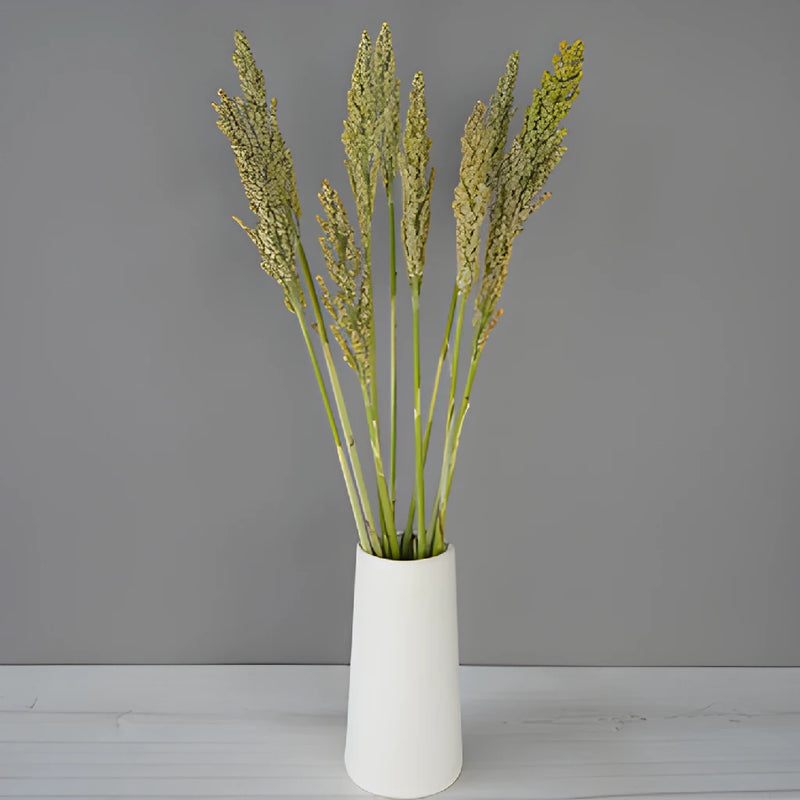 Sorghum Fresh Decorative Greenery