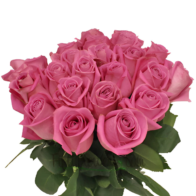 Soul Mate Medium Pink Rose