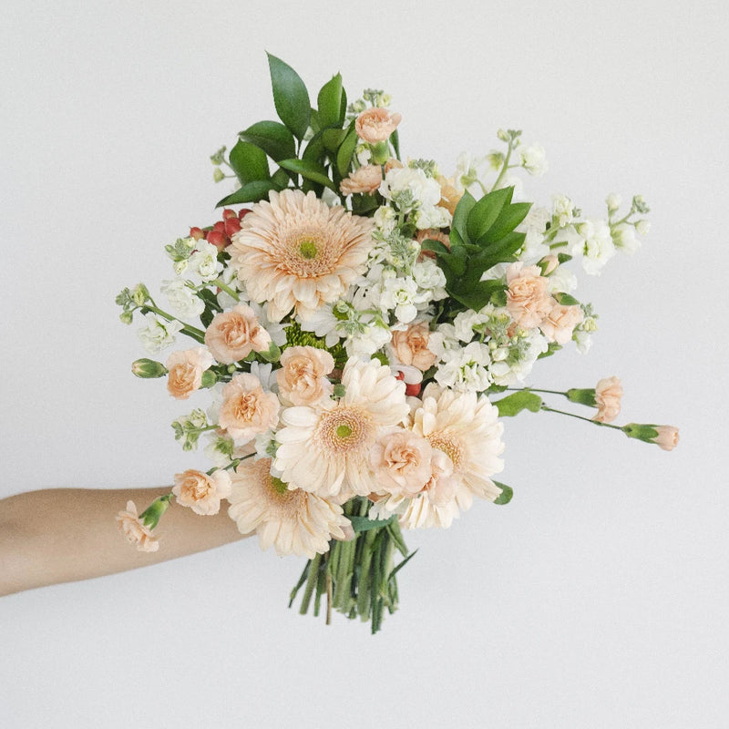 Southern Belle Combo Pack Hand - Image