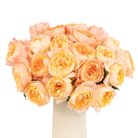 Southern Comfort Peach Garden Rose Vase - Image