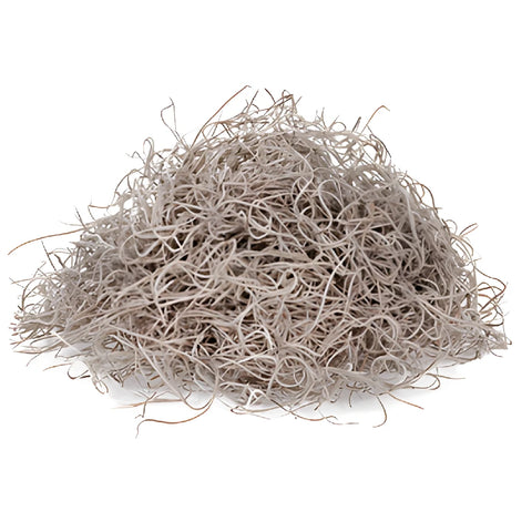 Natural Fresh Spanish Moss