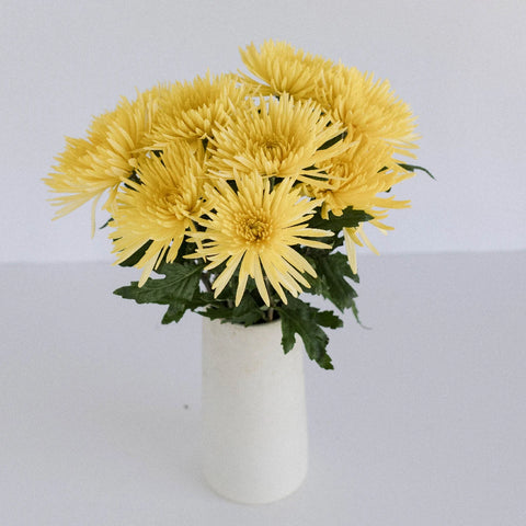Spider Mum Yellow Flower Vase - Image