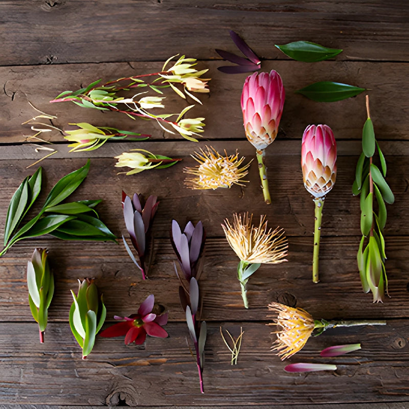 Spider Red Tropical DIY Flower Kit Up Close