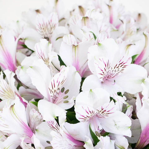 Farm Fresh Alstroemeria Spiral Arrangement