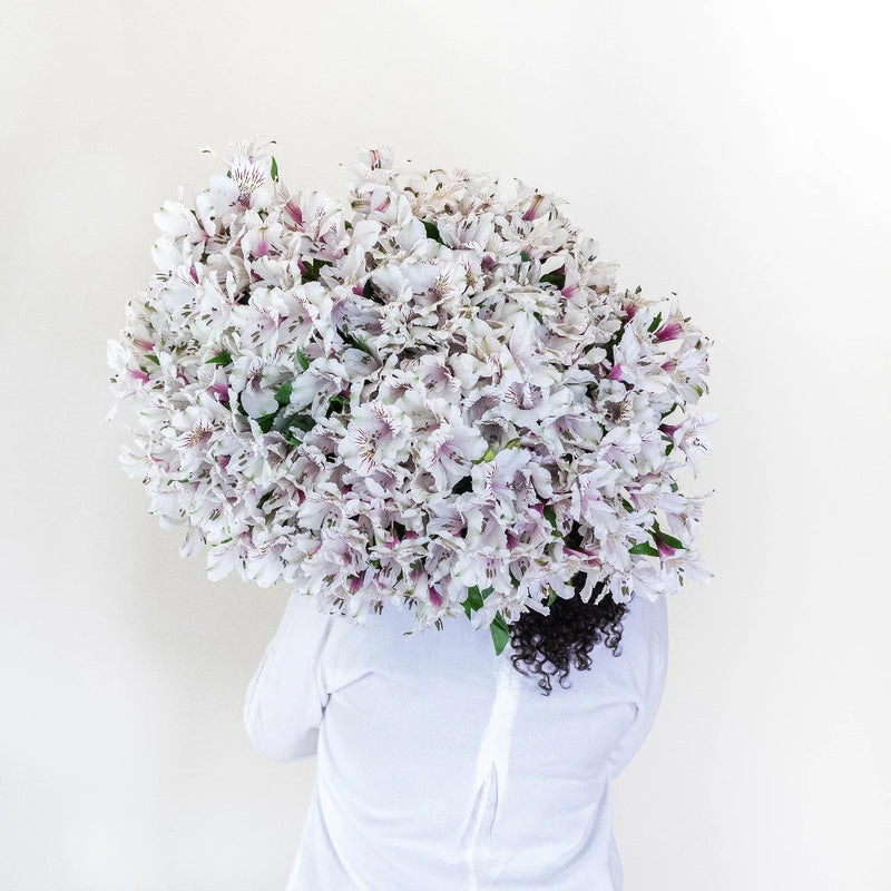 Farm Fresh Alstroemeria Spiral Arrangement