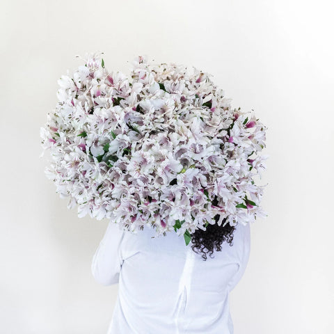 Farm Fresh Alstroemeria Spiral Arrangement