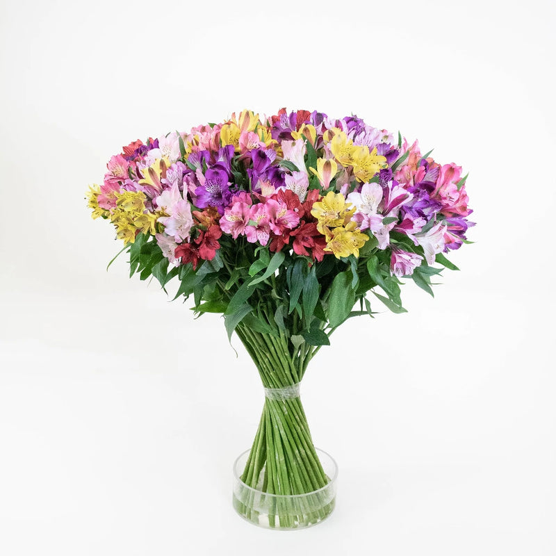 Farm Fresh Alstroemeria Spiral Arrangement