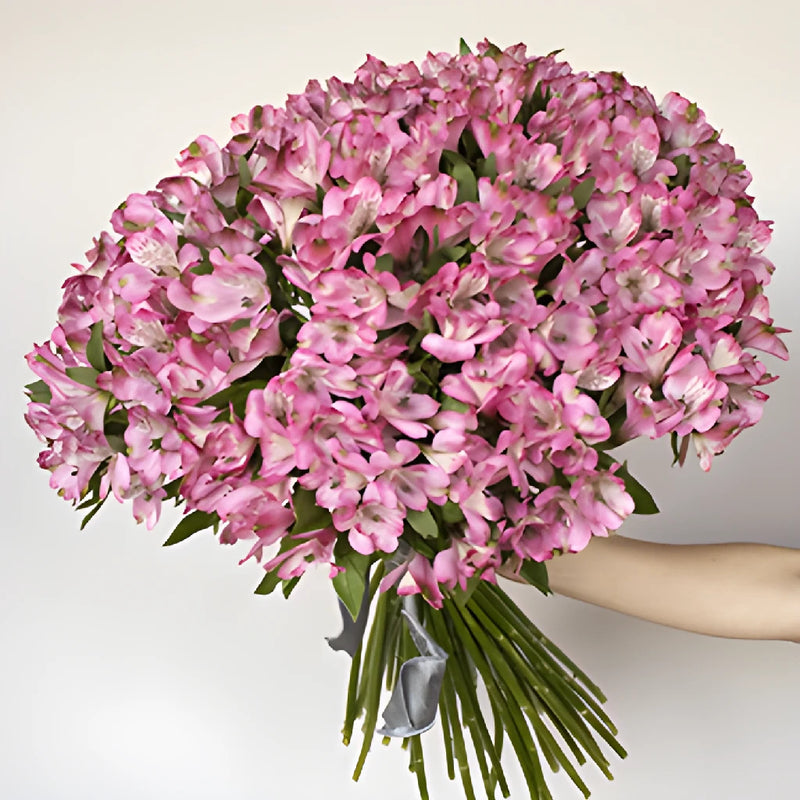 Farm Fresh Pink Alstroemeria Spiral Arrangement