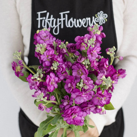 Spray Stock Deep Purple Burgundy Flower Apron - Image