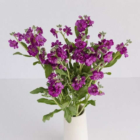 Spray Stock Deep Purple Burgundy Flower Vase - Image