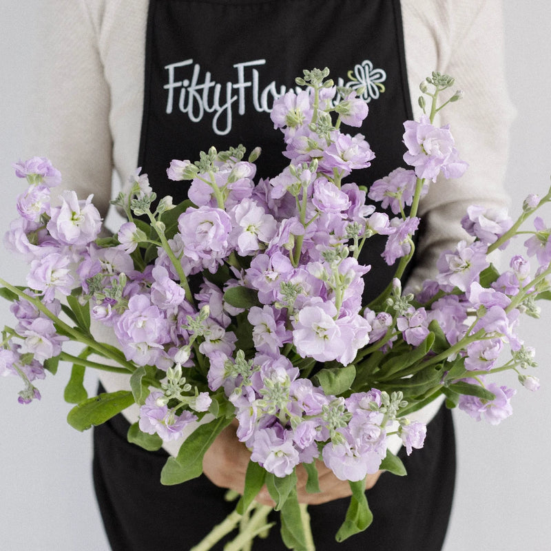 Spray Stock Lavender Wholesale Flower Apron - Image