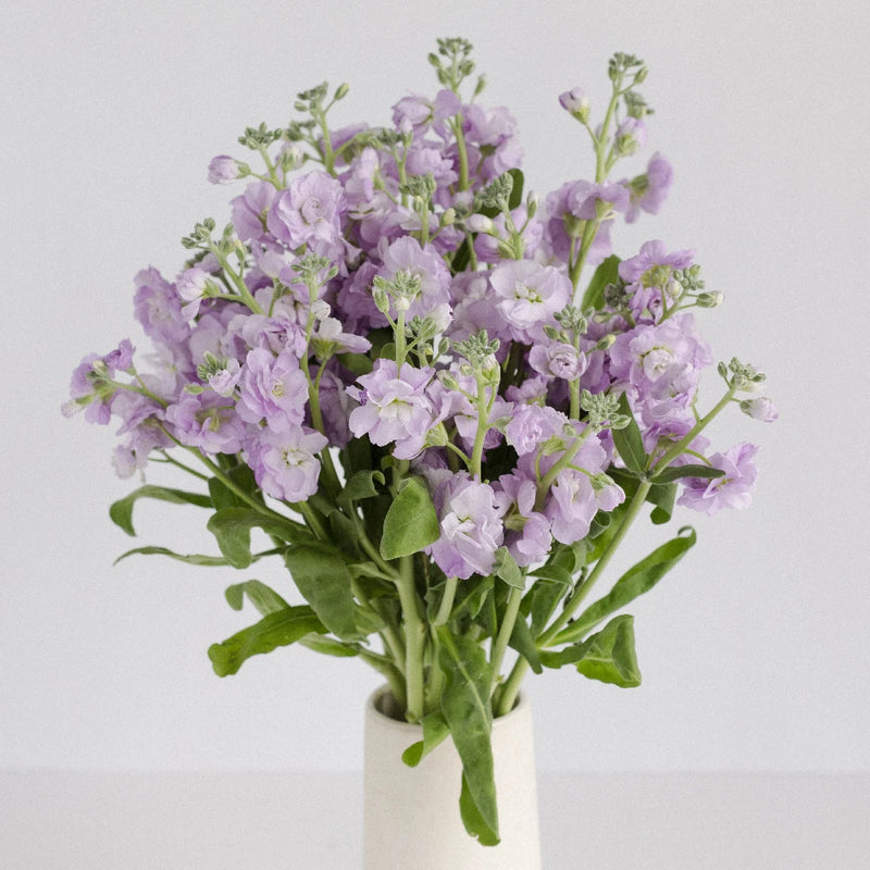 Spray Stock Lavender Wholesale Flower Vase - Image
