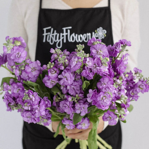 Spray Stock Purple Flower Apron - Image