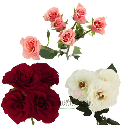 Romantic Colors Petite Spray Rose Mix