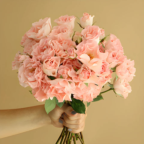 Spray Roses Constellation Bunch in hand