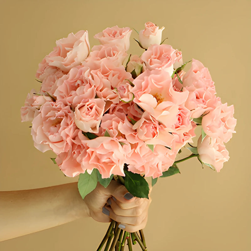 Spray Roses Constellation Bunch in hand