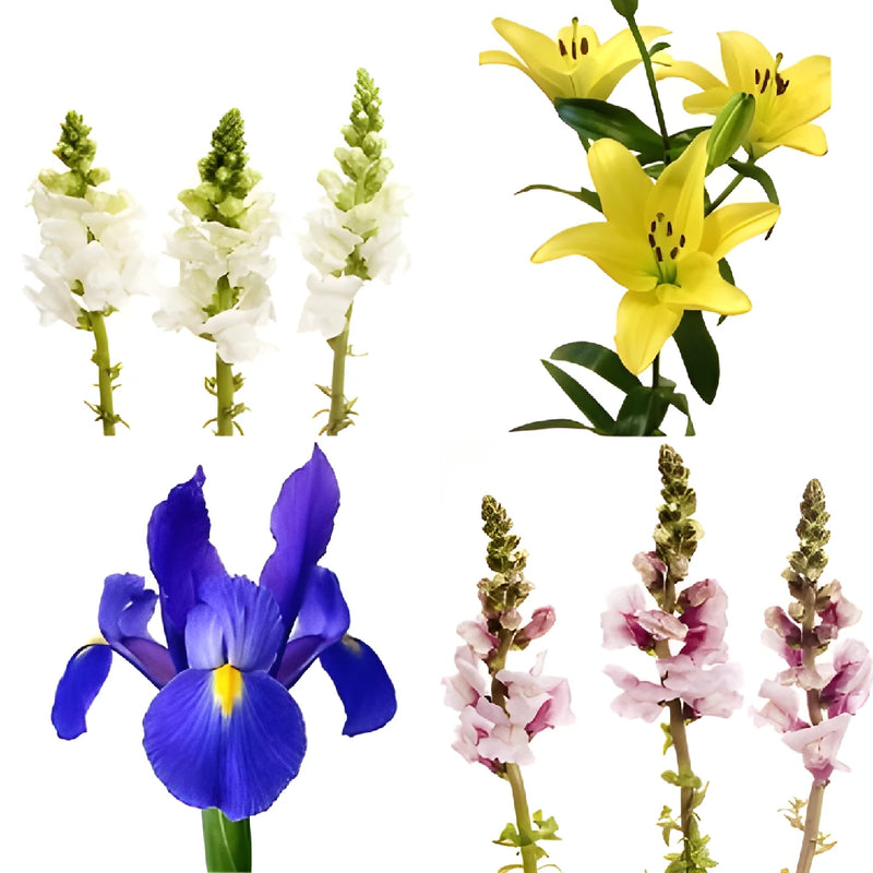 Spring Flowers DIY Flower Kit Bunch