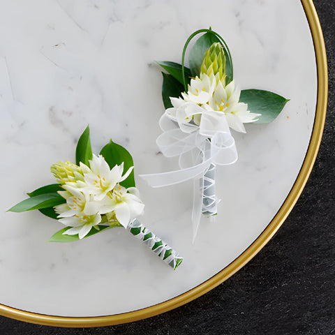 Star of Bethlehem Boutonniere and Corsage Pack