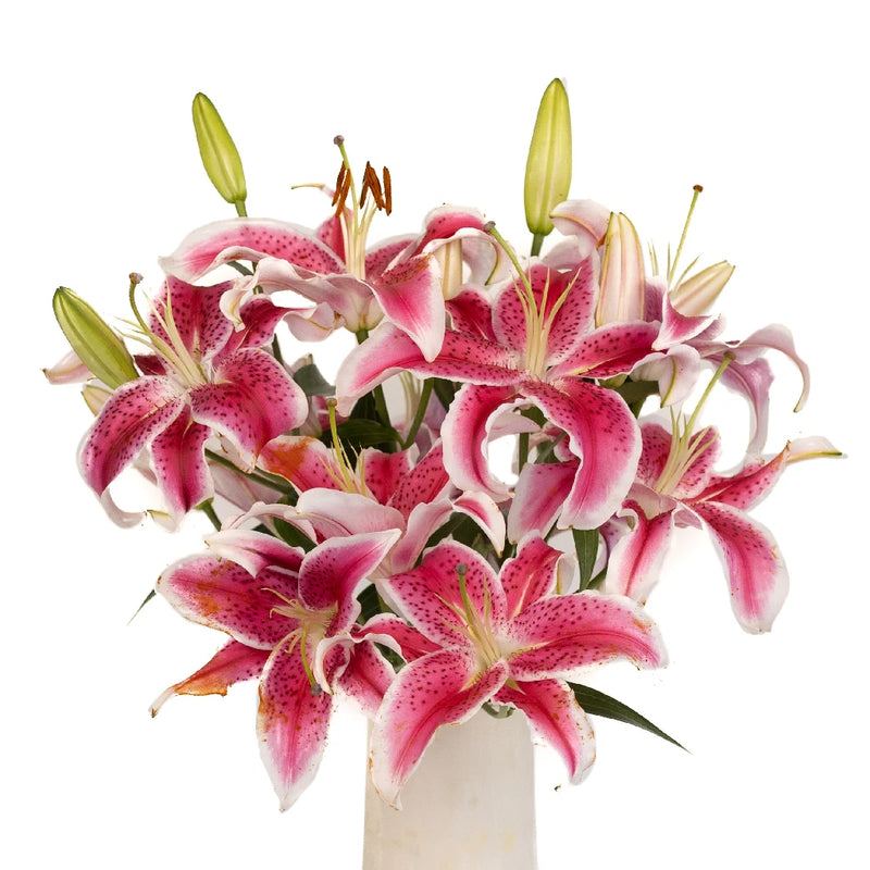 Stargazer Oriental Lilies Hot Pink Flower Vase - Image