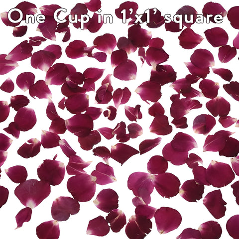 Red Preserved Rose Petals