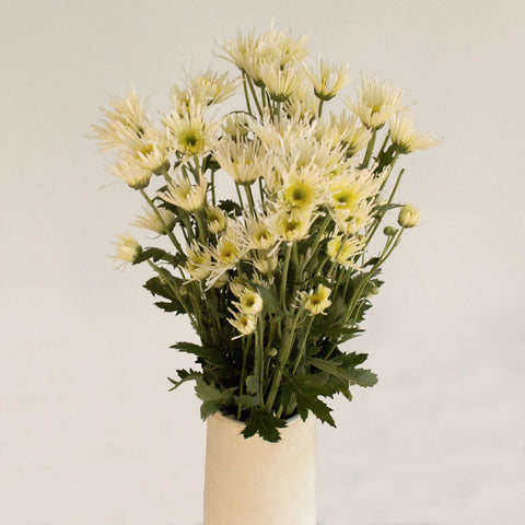 Starlight White Novelty Flower Vase - Image