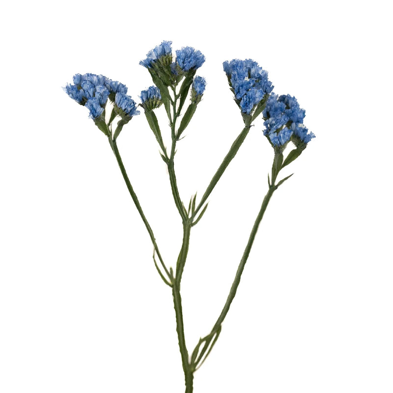 Statice Flower Jewel Blue Tinted Stem - Image