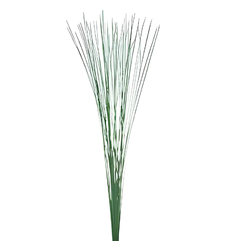 Wholesale greenery steel grass filler flower bunch sold as bulk
