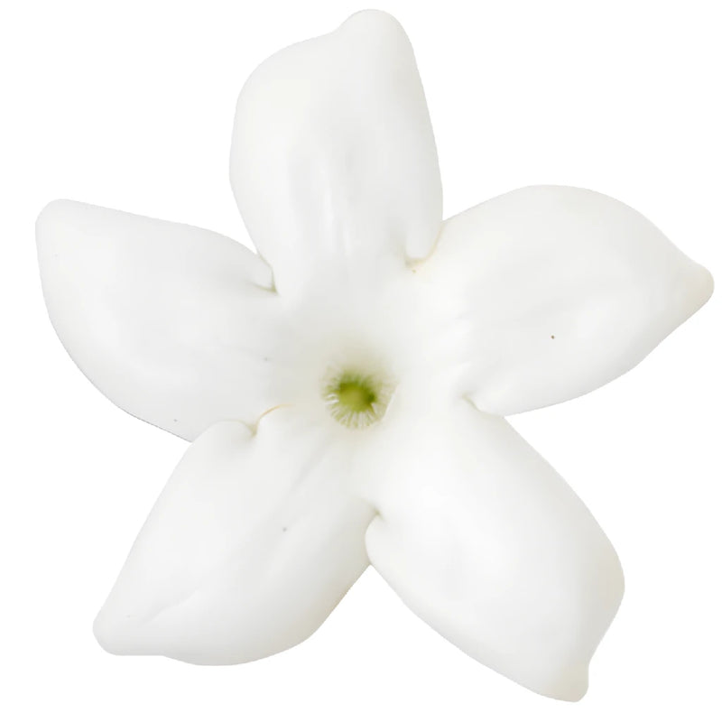 Bulk Stephanotis White Flower