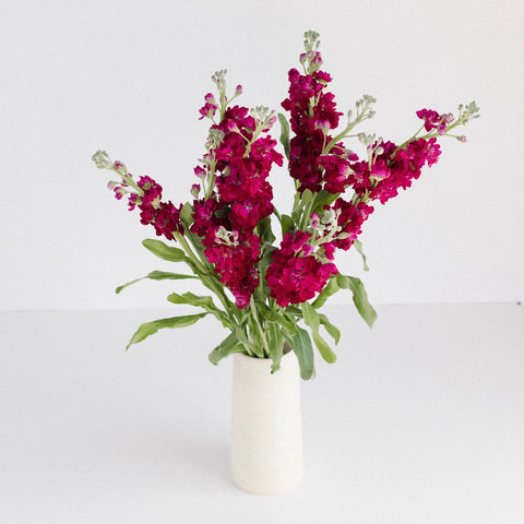 Stock Roseberry Flower Vase - Image