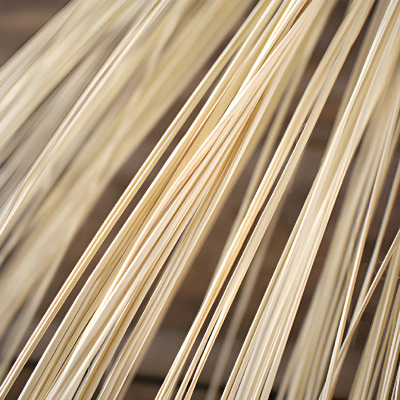 Natural Boho Dried Straw Palm