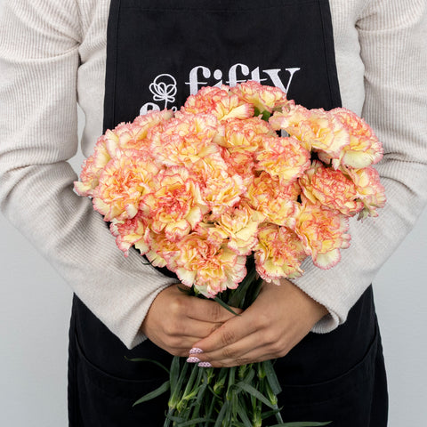 Strawberry Shortcake Carnation Flowers Apron - Image