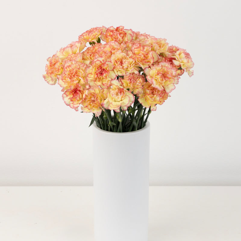 Strawberry Shortcake Carnation Flowers Vase - Image