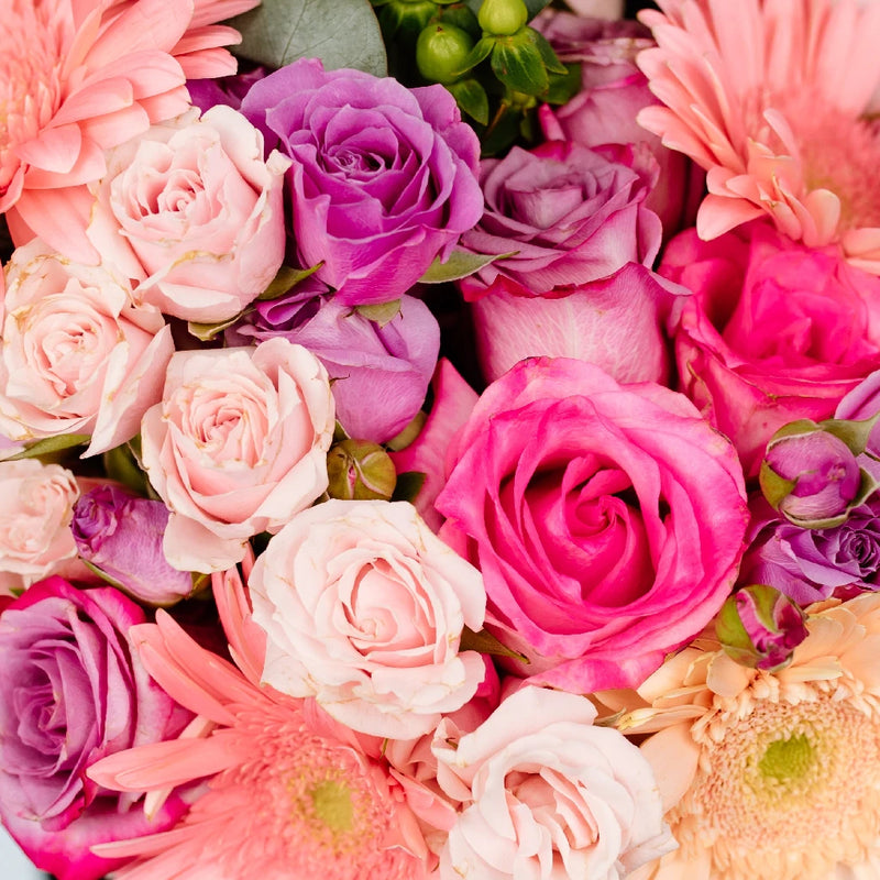 Strike Your Fancy Gerbera Daisy Bouquet Close Up - Image
