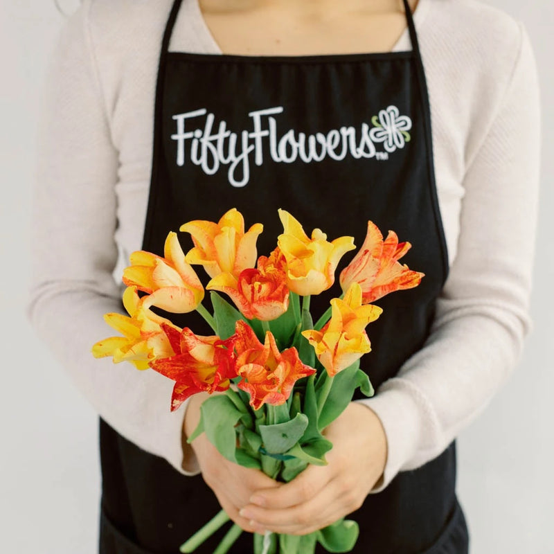 Striped Crown Lily Novelty Tulip Apron - Image