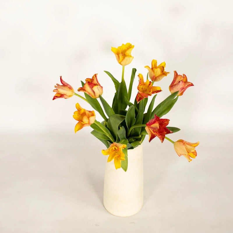 Striped Crown Lily Novelty Tulip Vase - Image